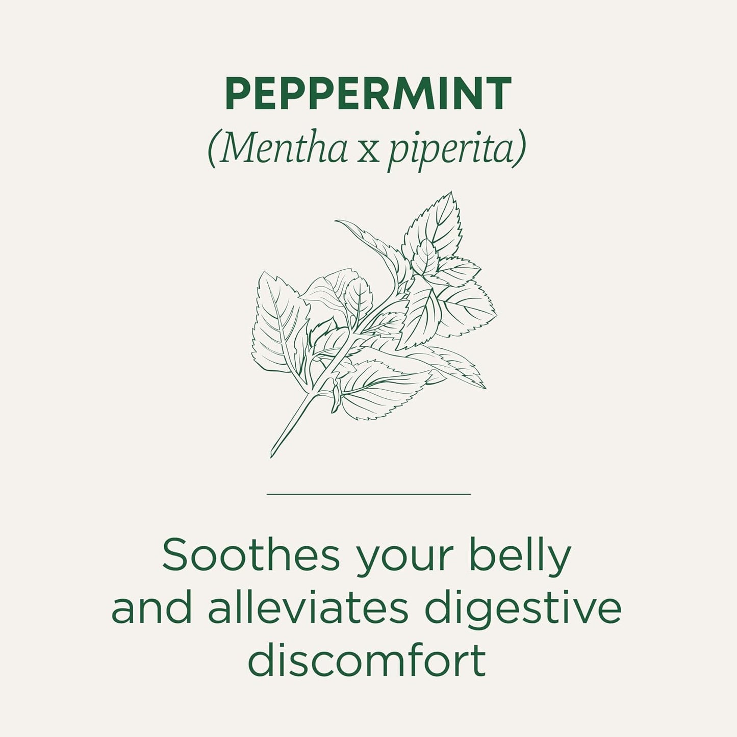 Traditional Medicinals Organic, Peppermint Tea - Helps Soothe Belly fr