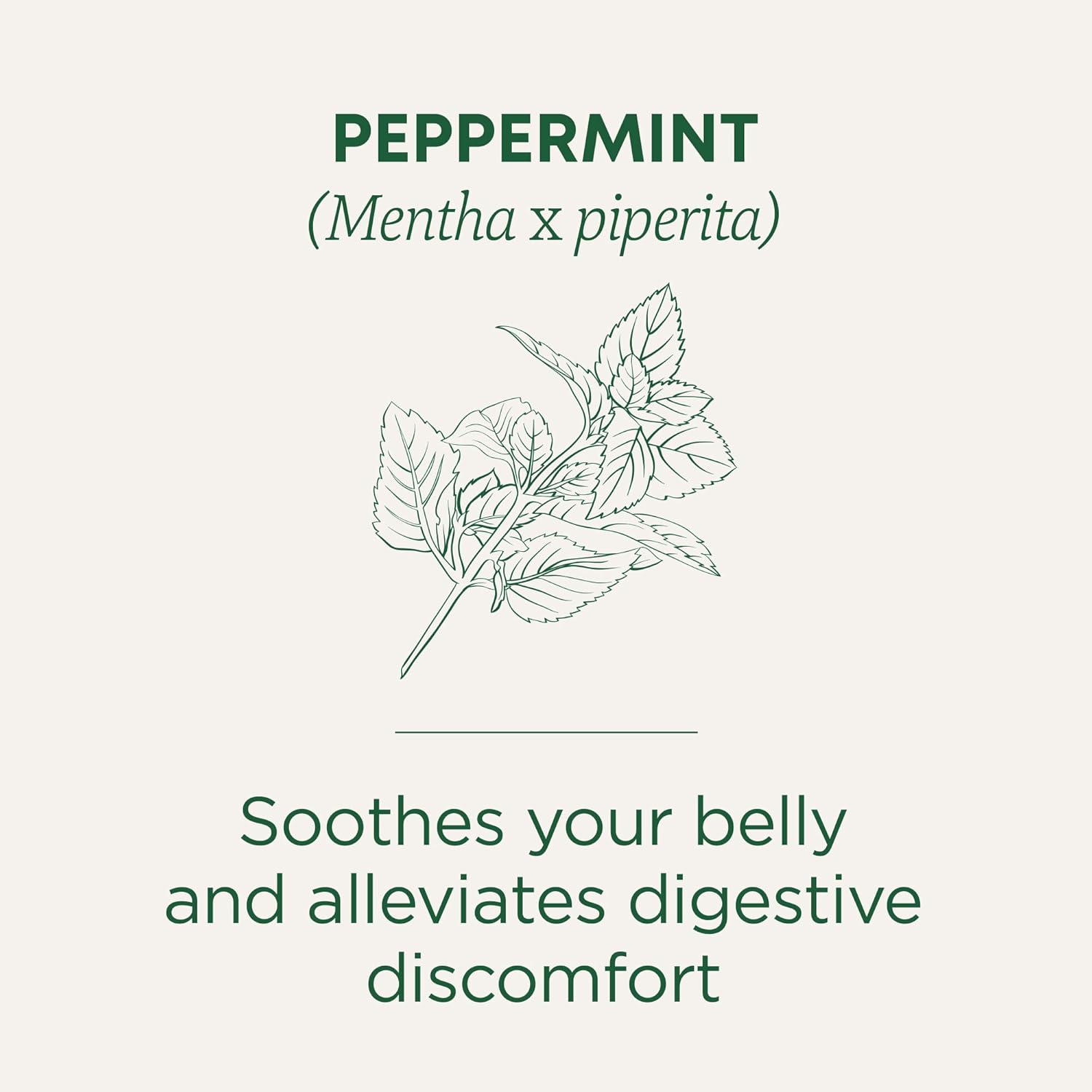 Traditional Medicinals Organic, Peppermint Tea - Helps Soothe Belly fr