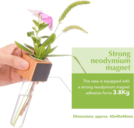Wooden Wall Planter Glass Plant Propagation Stations Fridge Glass Tube Single Stem Bud Vase 2Pcs/Set Modern Decorative Cube Wood Window Flower Vase Refrigerator Magnetic Mini Glass Vase with Dropper