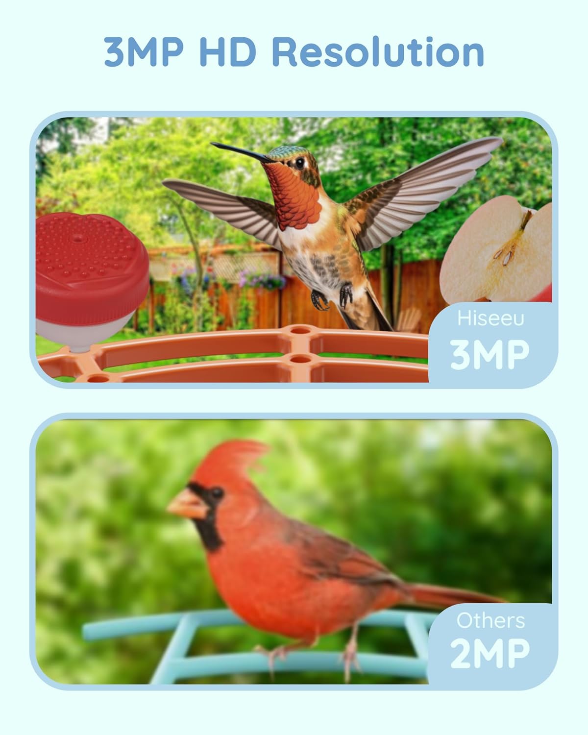 Hiseeu 3MP Feeder with Camera, 2.5L, AI Identify 11000+ Species, Solar Powered, Auto Capture Bird Videos & Motion Detection, Smart Bird Watching Camera Wireless Outdoor (Orange-64G)
