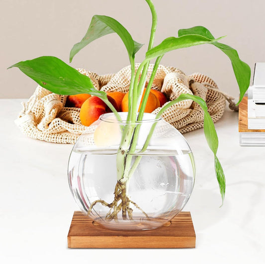 Milisten Wood Base Glass Hydroponic Green Pothos Planter Vase Desktop 