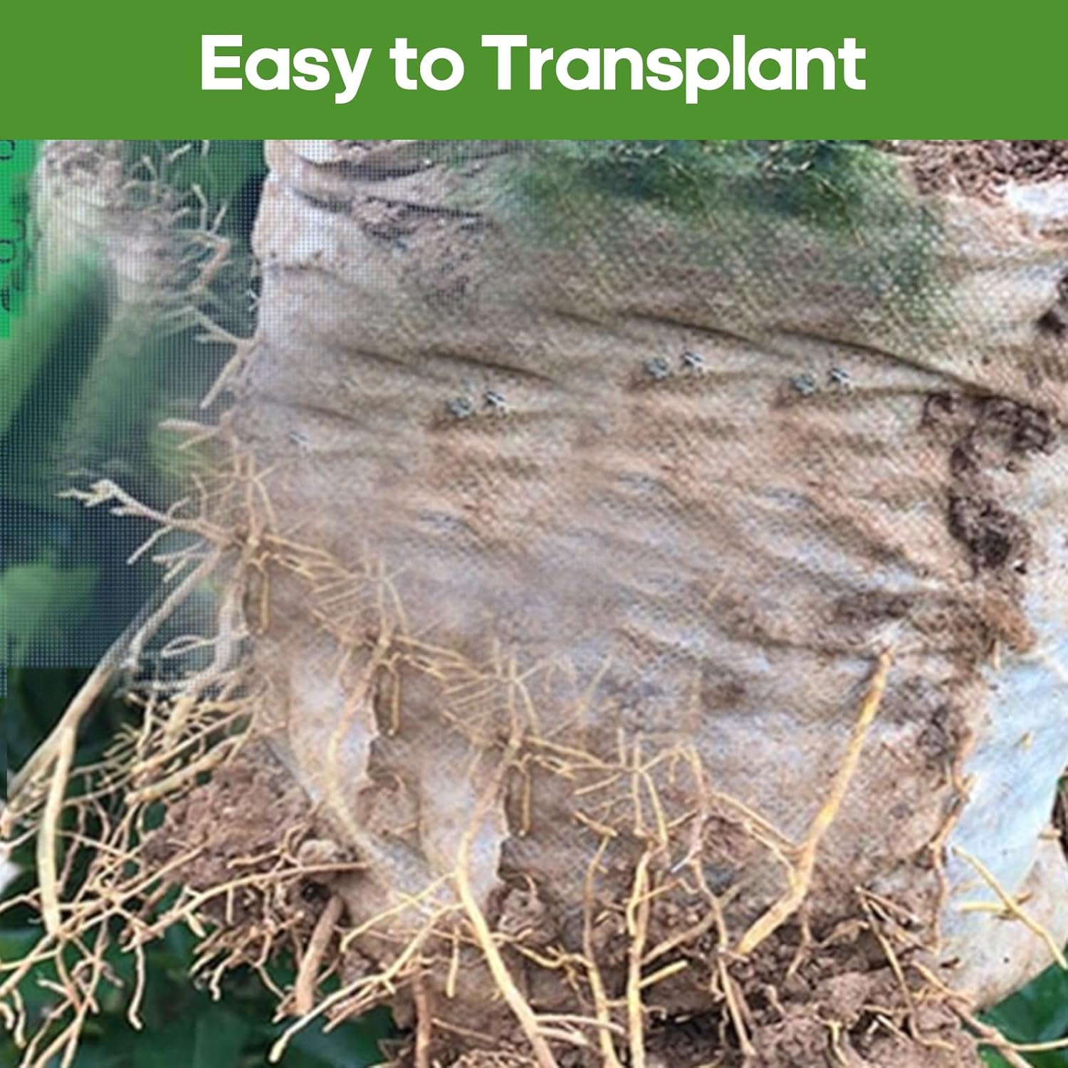 Plant Grow Bags 5.5"x6.3"200pcs Biodegradable Planting Bags Seed Start