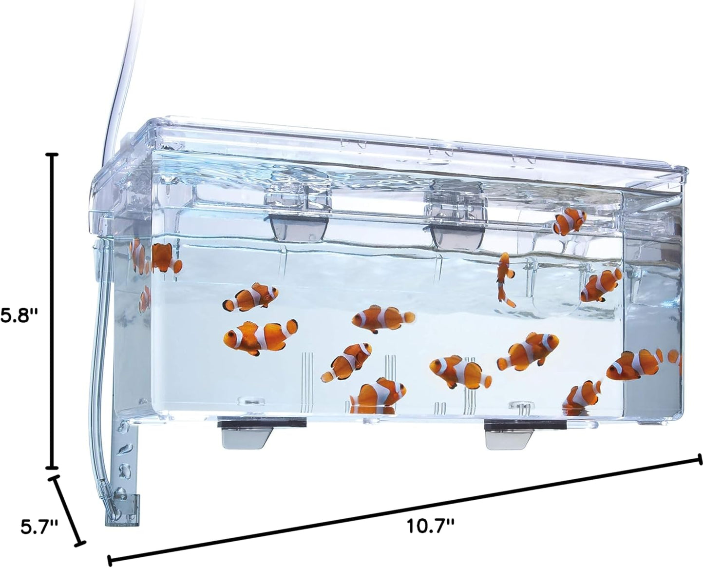 Fluval Multi-Chamber Holding and Breeding Box, Large – Up To 3 Separat