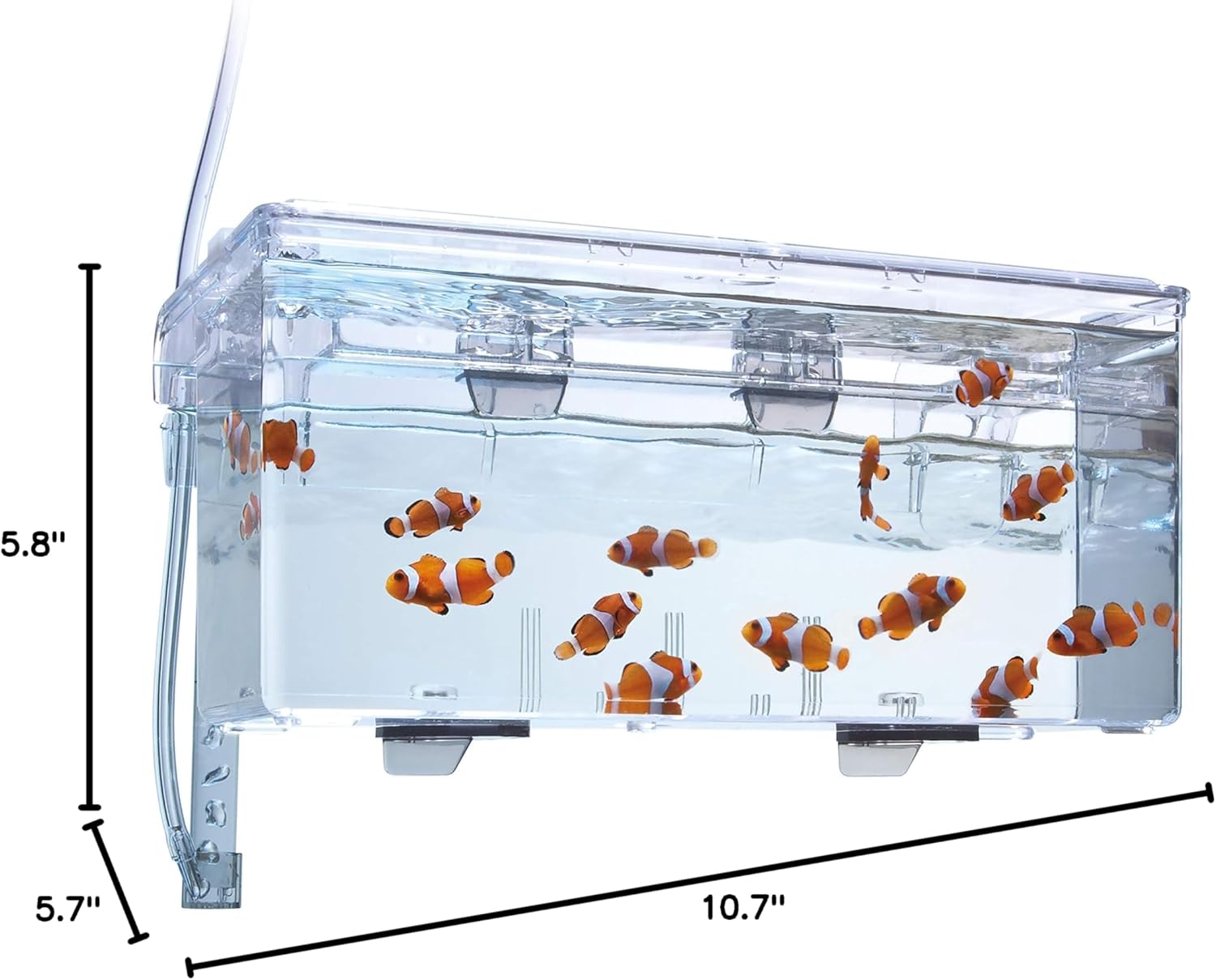 Fluval Multi-Chamber Holding and Breeding Box, Large – Up To 3 Separat