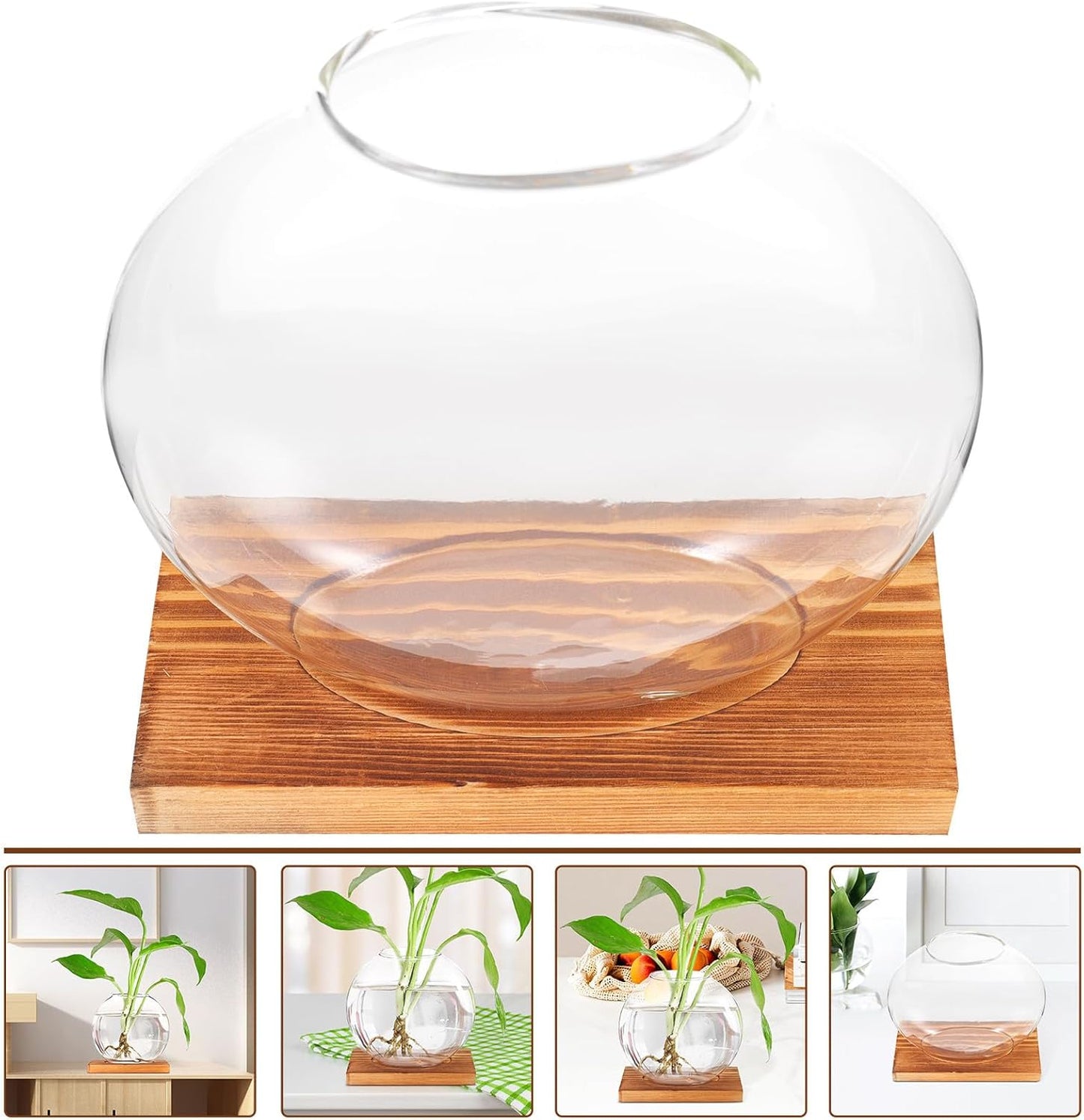 Milisten Wood Base Glass Hydroponic Green Pothos Planter Vase Desktop 