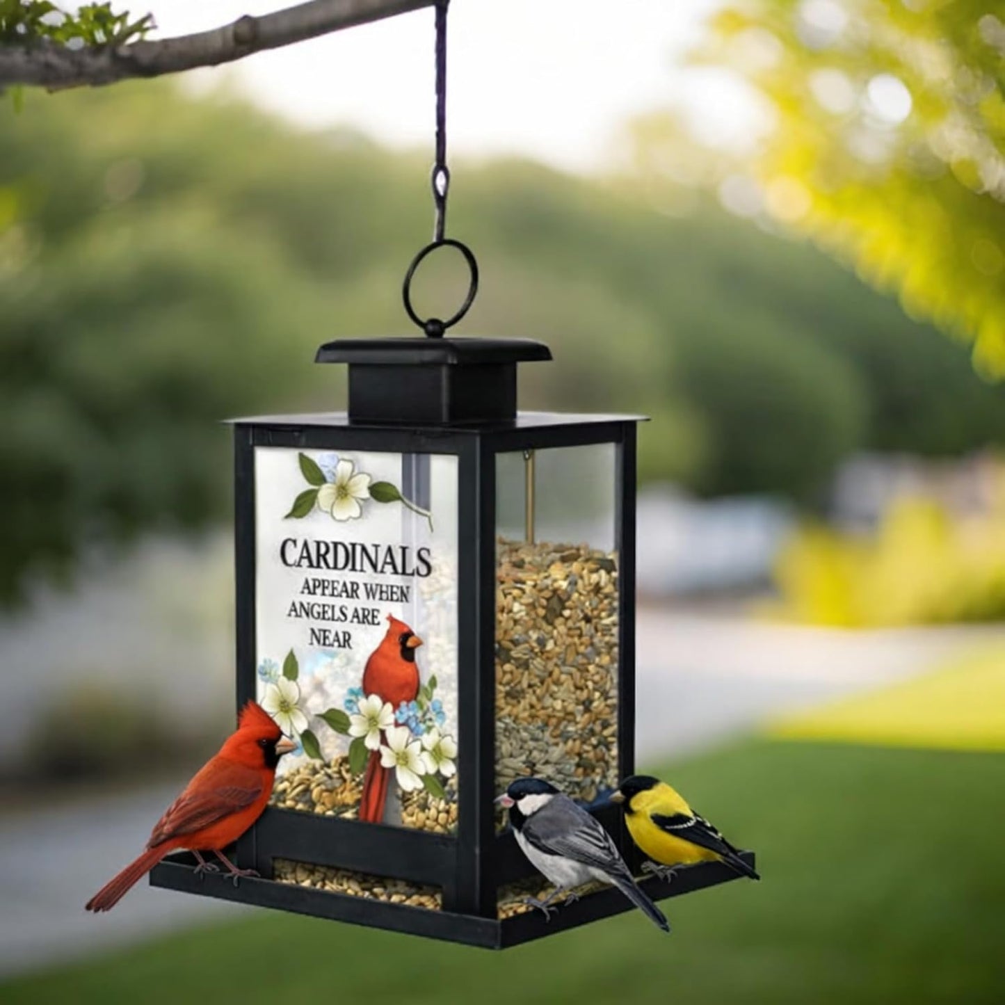 The Bridge Collection Cardinals Appear Bird Feeder - Memorial Window Bird Feeder with Glass Panes, Metal Basket Design for Indoor/Outdoor Use - A Sympathetic Gift to Remember Loved Ones