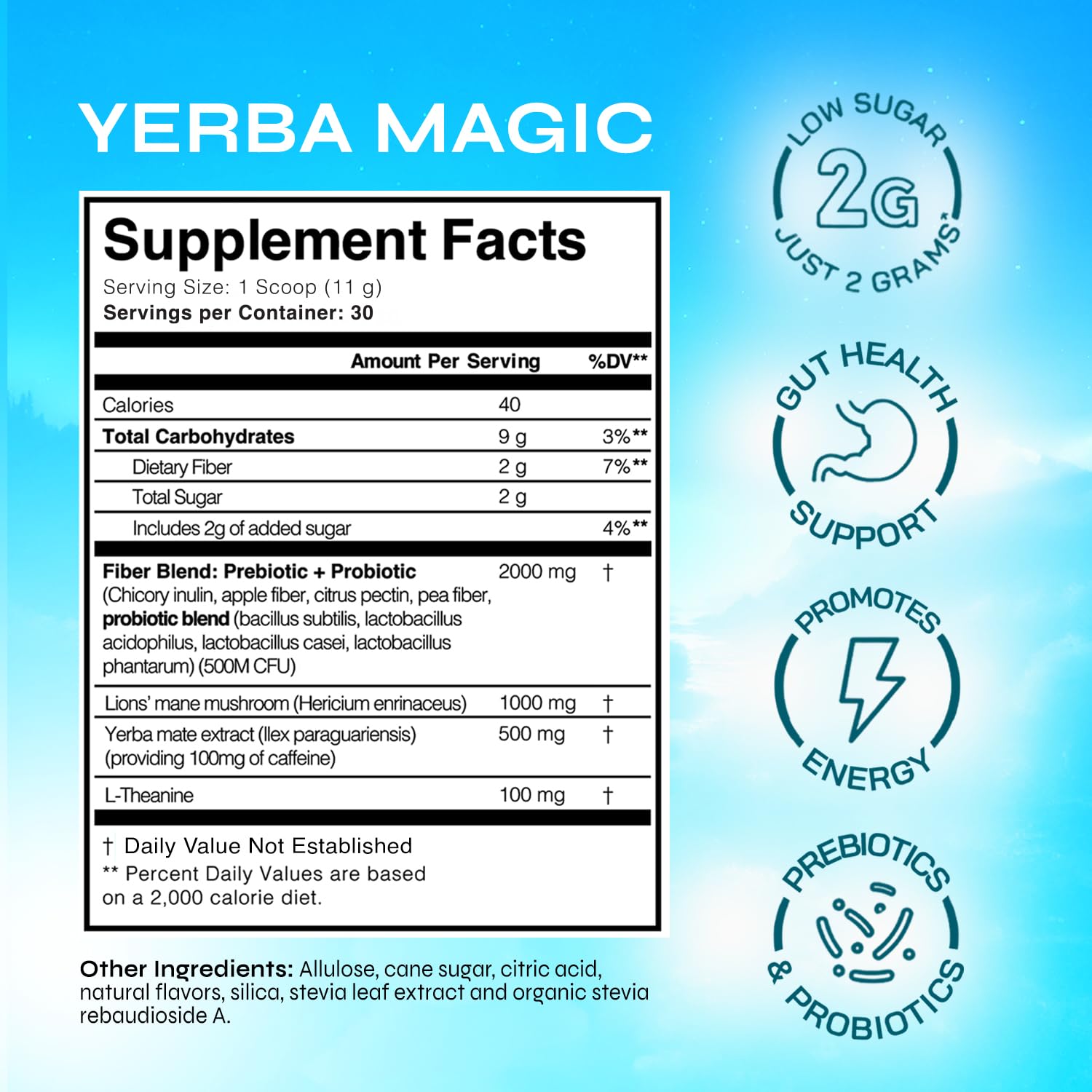 Yerba Magic – Yerba Mate Tea Instant Powder Super Drink with Nootropic