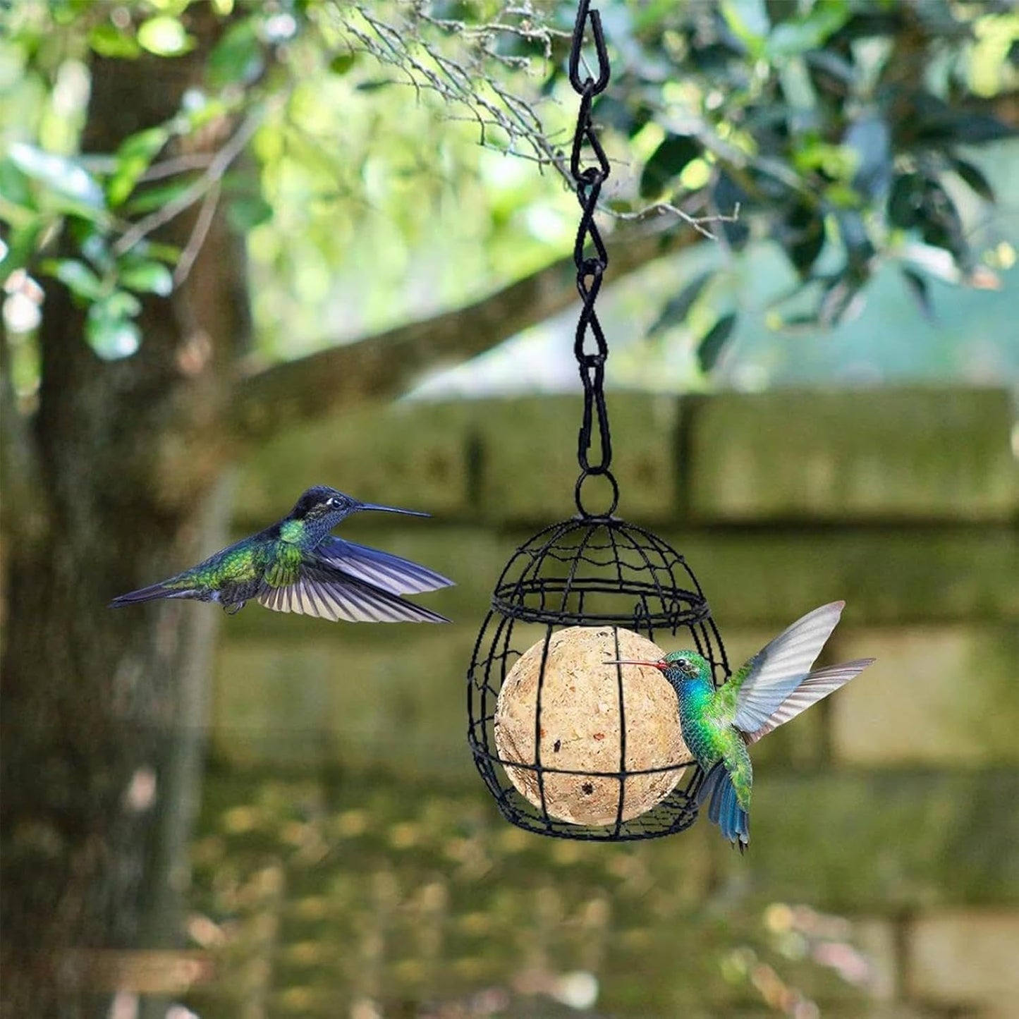 Suet Bird Feeder - Metal Squirrel Proof Wildlife Food Station, with Ho