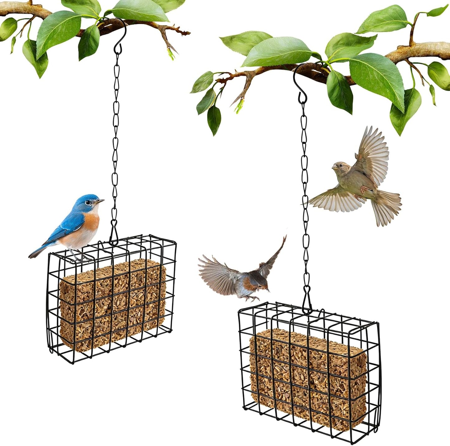 2Pcs Outdoor Suet Cage Bird Feeder, Suets Hanging Bird Feeder fo Attracting Birds, Single Suet Cake Capacity, Fruit Holder Style for Garden Yard Outside Hanging