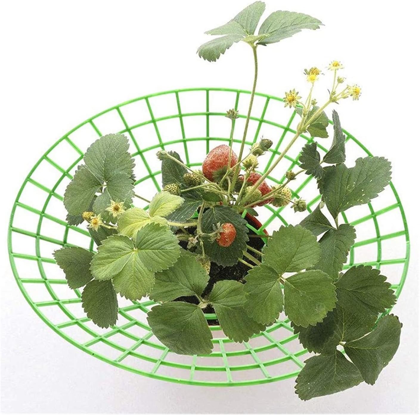 Strawberry Stand Frame -10PCS Balcony Planting Rack Fruit Support Plant Flower Climbing Vine Pillar Gardening Stand