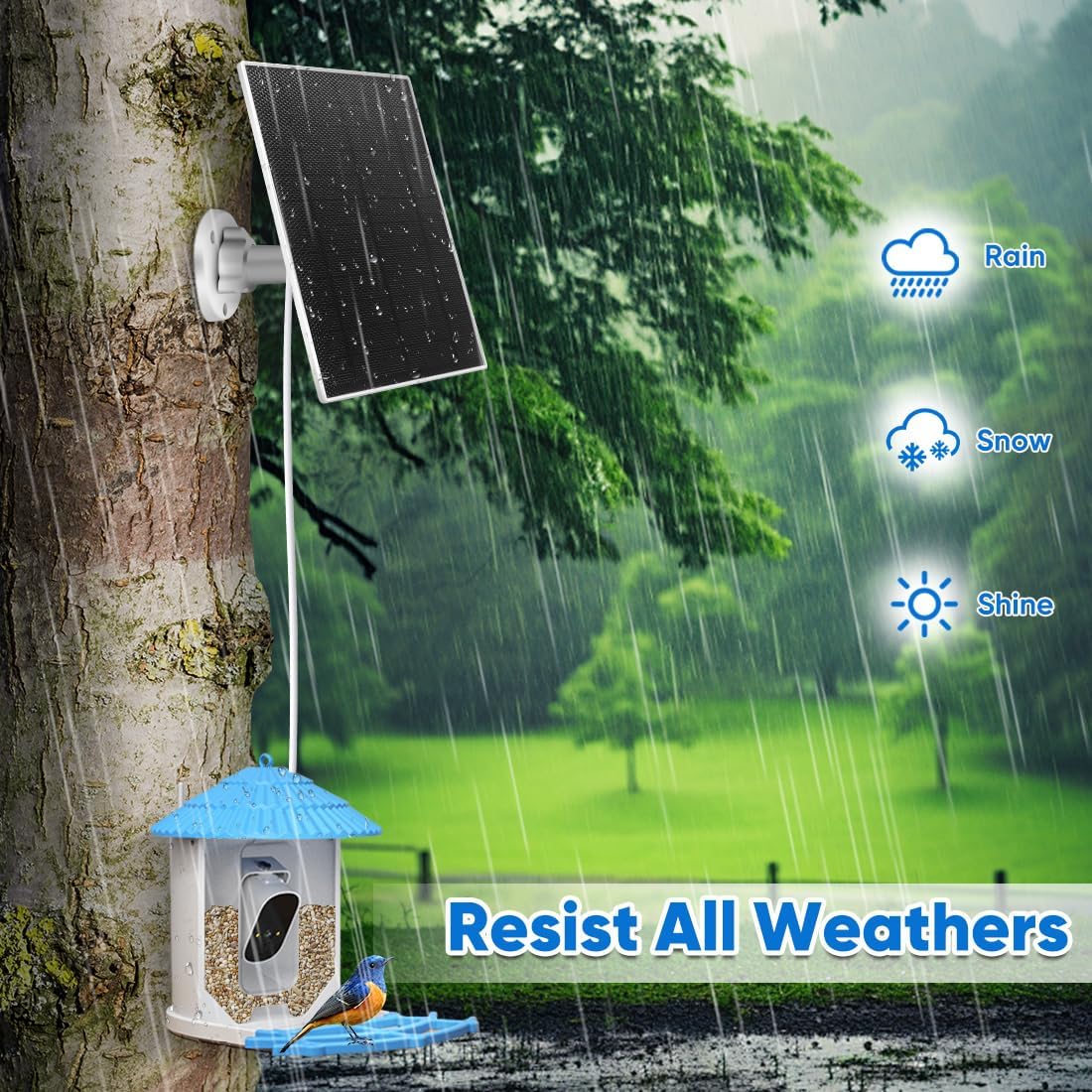 3W Solar Panel for Bird Feeder, Continuously 3W Power with Battery Sup