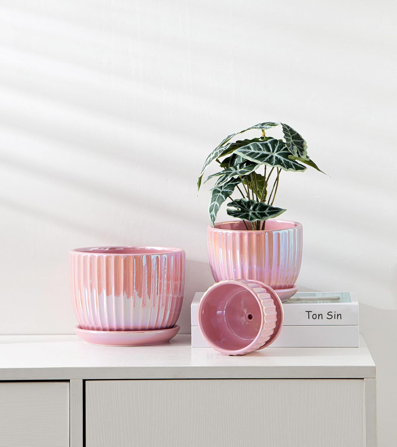 Ton Sin Pink Gold Ceramic Flower Pots, 4"+5"+6" Inch Small Glazed Succ
