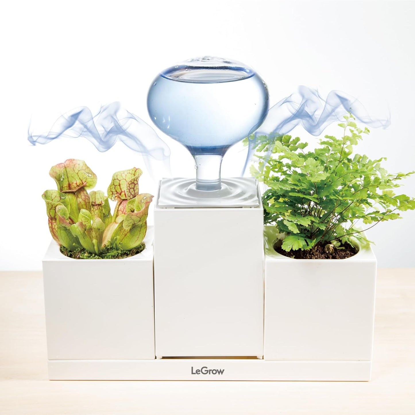 LeGrow Humidifiers for Indoor Plants - Humidifier Small Cool Mist for Plant Indoor and Personal Home and Office Desktop, Auto Shot-Off, 2 Self Watering Pots 10 Days Watering Free