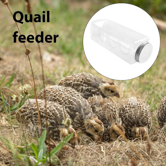 Automatic Birdfeeder Bottle, 17.2x5.5cm Transparent PET Feeder for Quails, No Waste Gravities Feed System, Small Birds, Poultry Care, Cage Hanging Equipment