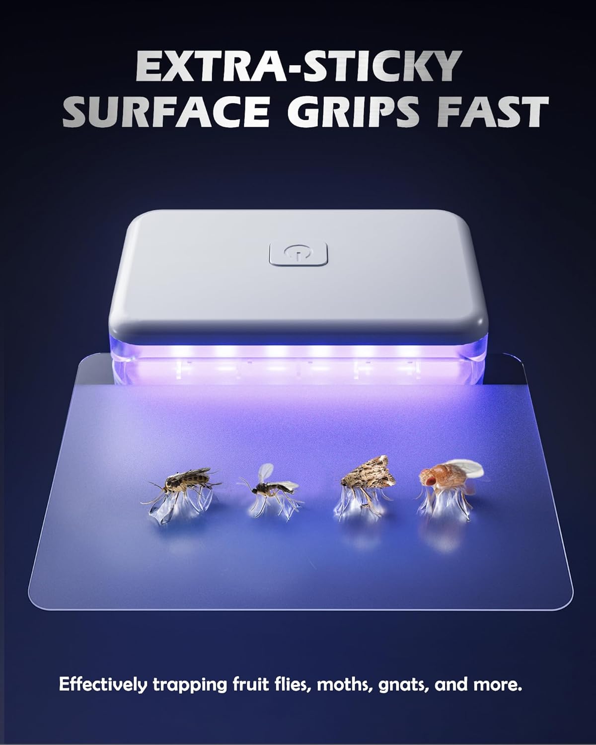 2 Pcs Fruit Fly Traps for Indoors (2 Device+10 Refills) Plug in UV Lig