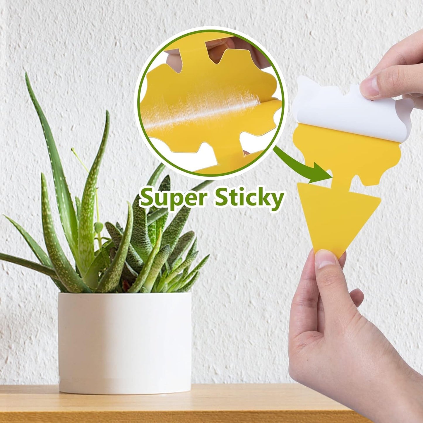 40 Pack Fungus Gnat Traps for House Indoor Yellow Sticky Traps for Gna