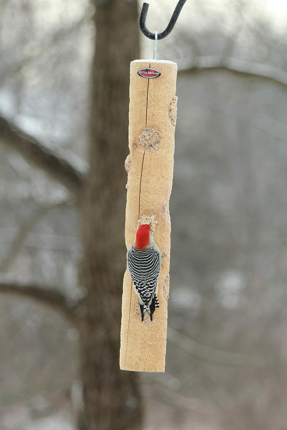 Kettle Moraine Large Cedar Suet Log Feeder for Woodpeckers and Chickadees