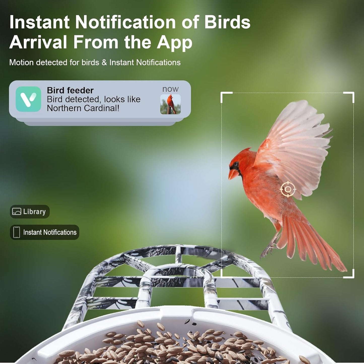 DCT Smart Bird Feeder with Camera: Christmas Gift & Stocking Stuffer for the Whole Family - 1080P HD & AI Identifies 11000+ Birds - Perfect Discovery Gift for Grandparents Parents & Kids Ages 2-12