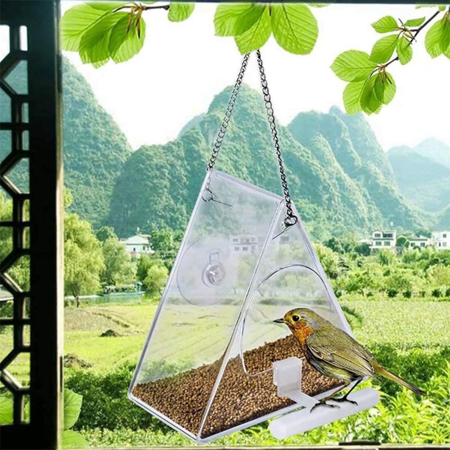 Clear Acrylic Bird Feeder Window Mount with Strong Suction Cup Food Bo