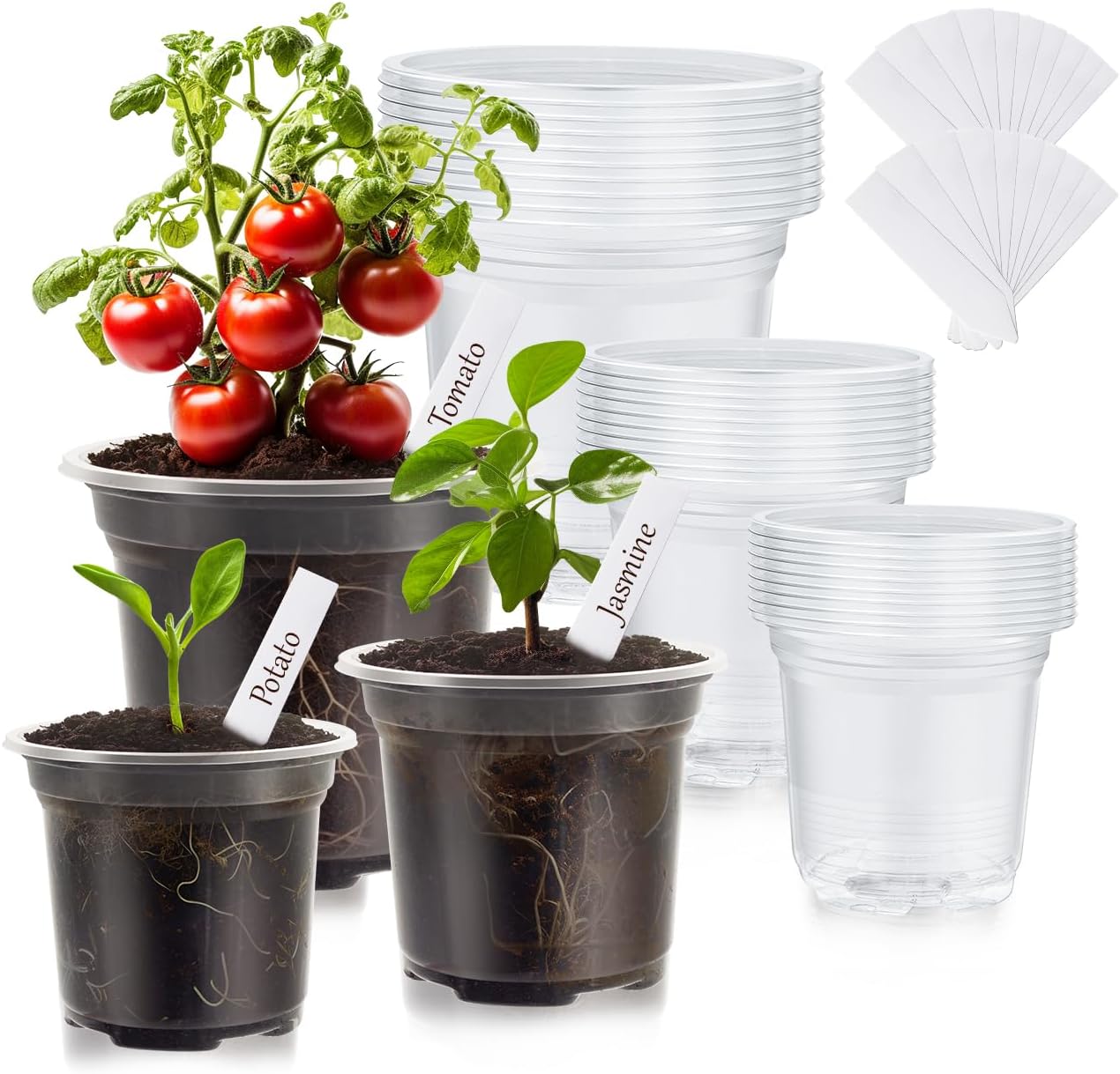 30 Packs Clear Nursery Pots for Plants, 3.5/4/5 Inch High Transparency