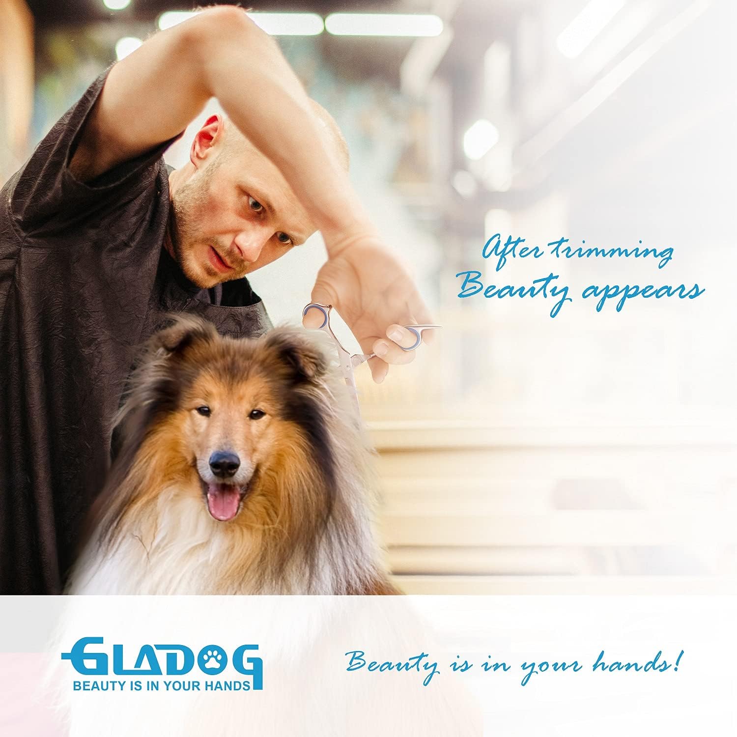 GLADOG Professional 5 in 1 Dog Grooming Scissors Set with Safety Round