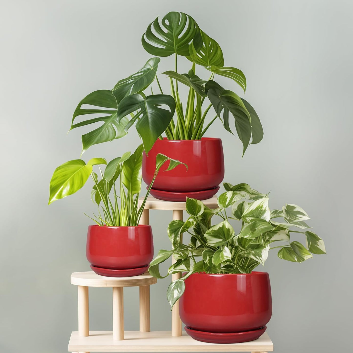 G EPGardening Ceramic Pot for Plants - 6 Inch Plant Pot with Drainage 