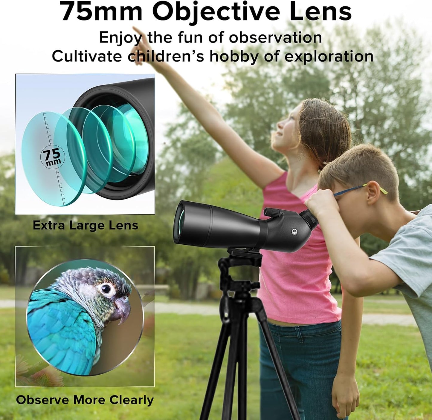 Spotting Scope 25-65x75mm - URBANCOAST Portable Spotting Scopes with Full Size Tripod, Carrying Bag, and Scope Phone Adapter - Ideal for Bird Watching