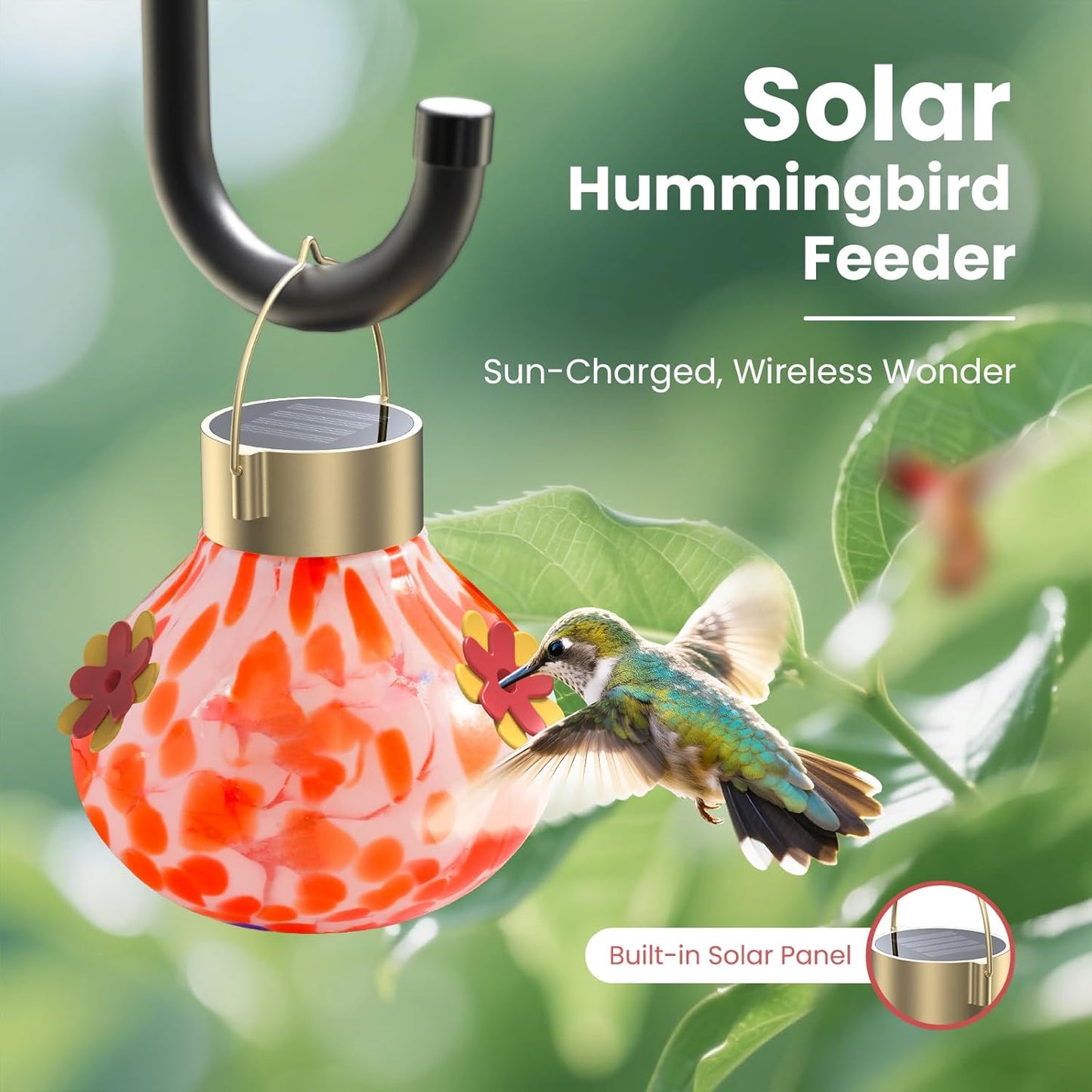 Hummingbird Feeder with Solar Camera, Glass Hummingbird Feeder for Out
