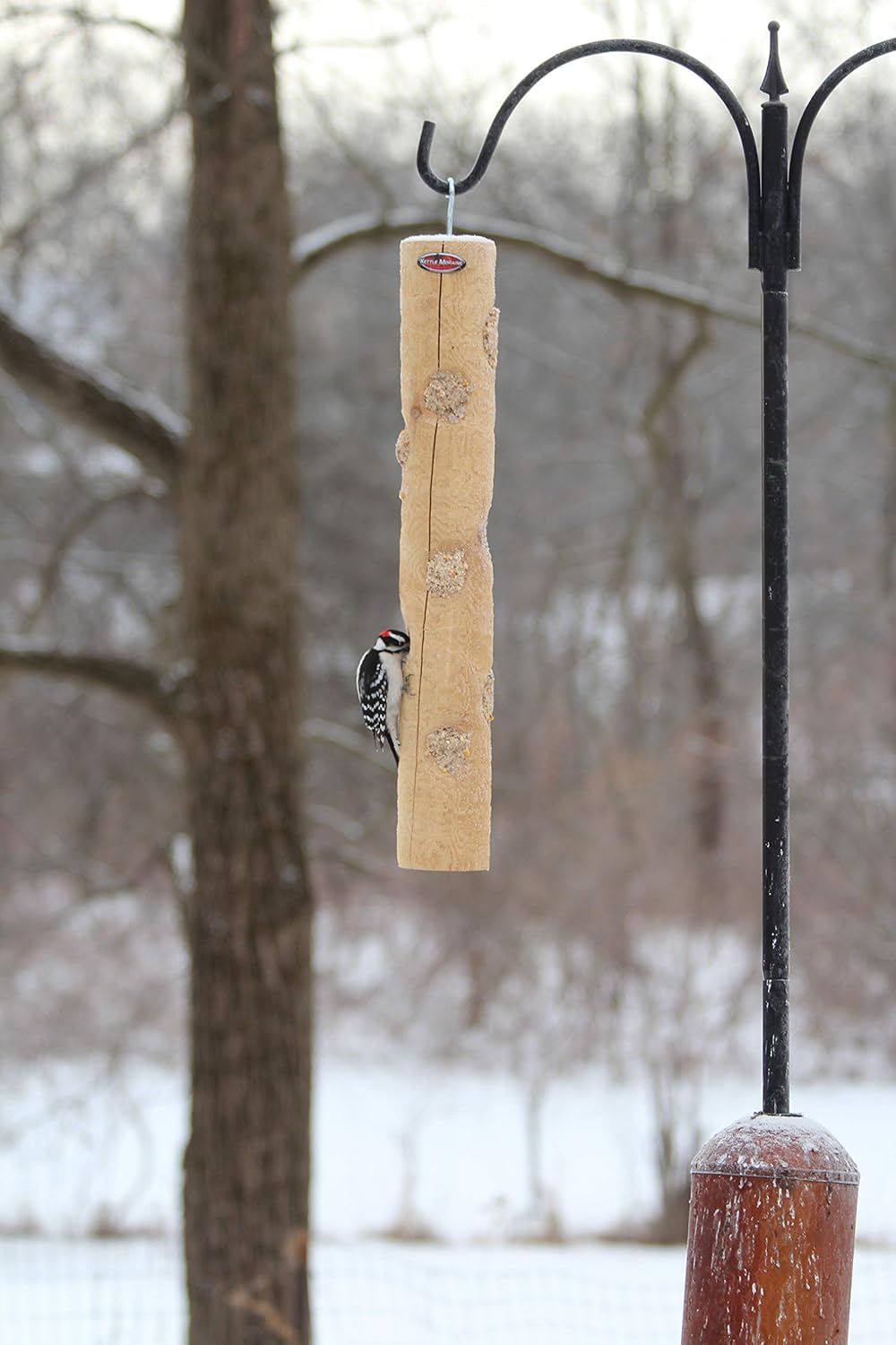 Kettle Moraine Large Cedar Suet Log Feeder for Woodpeckers and Chickadees