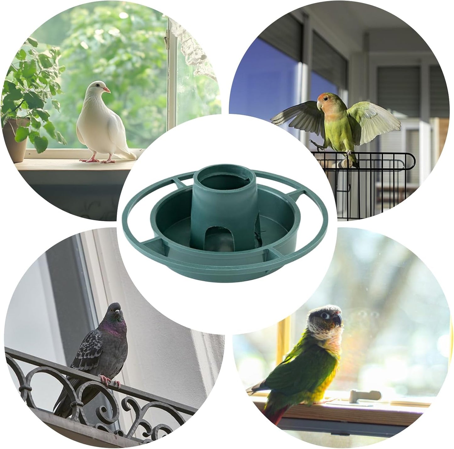 Outdoor Bird Feeder, Multifunctional Feeding Bowl, 8x6 Inches Hangable