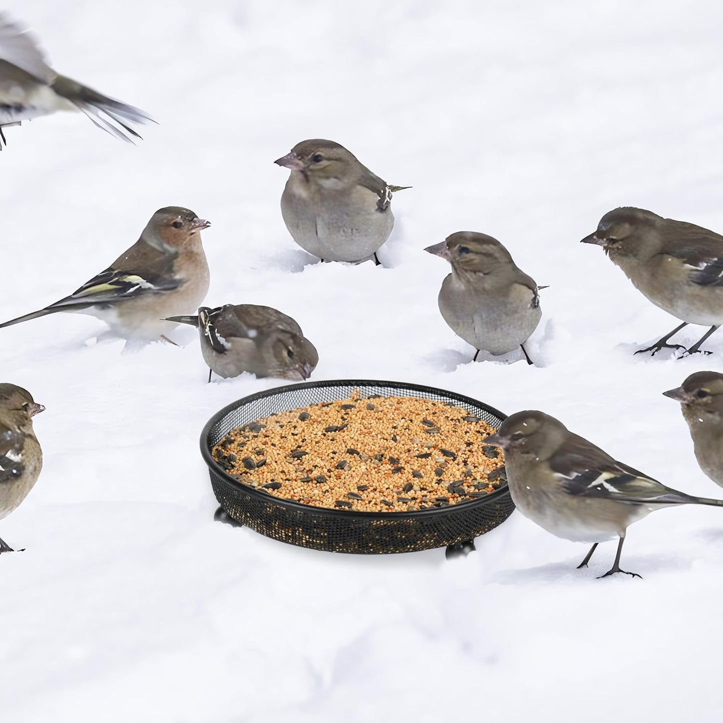 4 Pcs 7 Inch Metal Ground Bird Feeder Tray with Mesh Platform for Outdoor Wild Birds and Squirrels Featuring Rust Resistant Design for Garden Yard and Patio Use (Round)