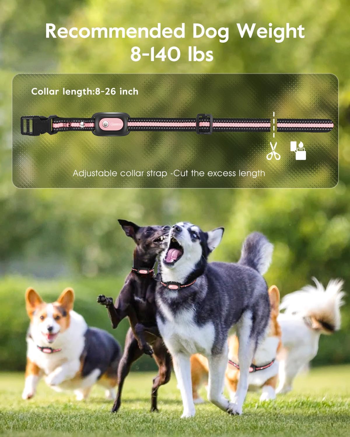 SLOPEHILL Dog Shock Collar,4200FT Dog Training Collar with Remote,IPX8