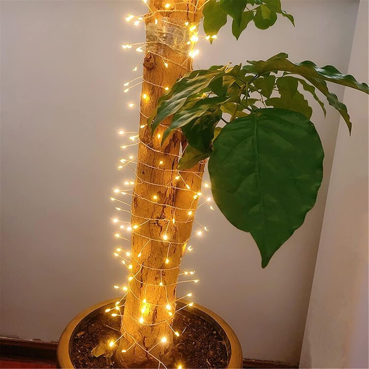 Solar Fairy Lights - 4.92Ft 50 LED Waterproof Solar Firecracker Lights