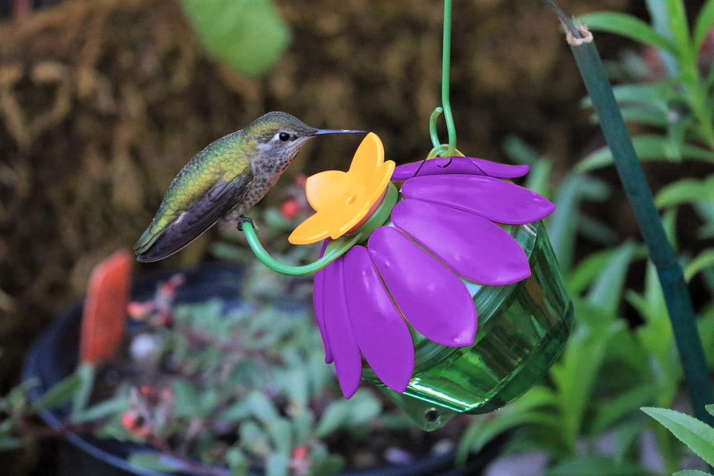 Nature's Way Bird Products SFHF2 So Real Single Flower Hummingbird Feeder, Purple, 4" Dia.