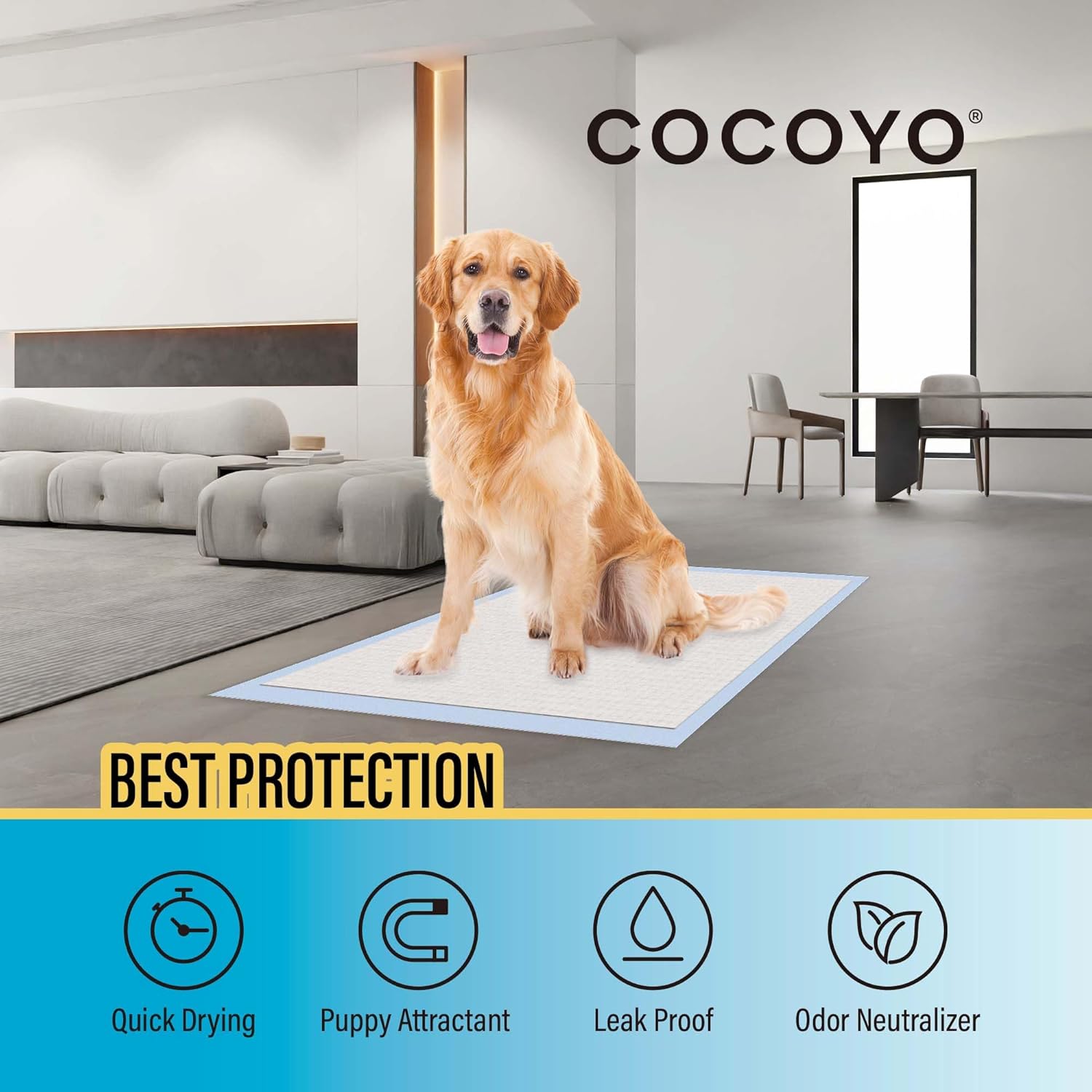 COCOYO Best Value 22"x22" Dog Training Pads 50 Count | Dog Pee Pads | 