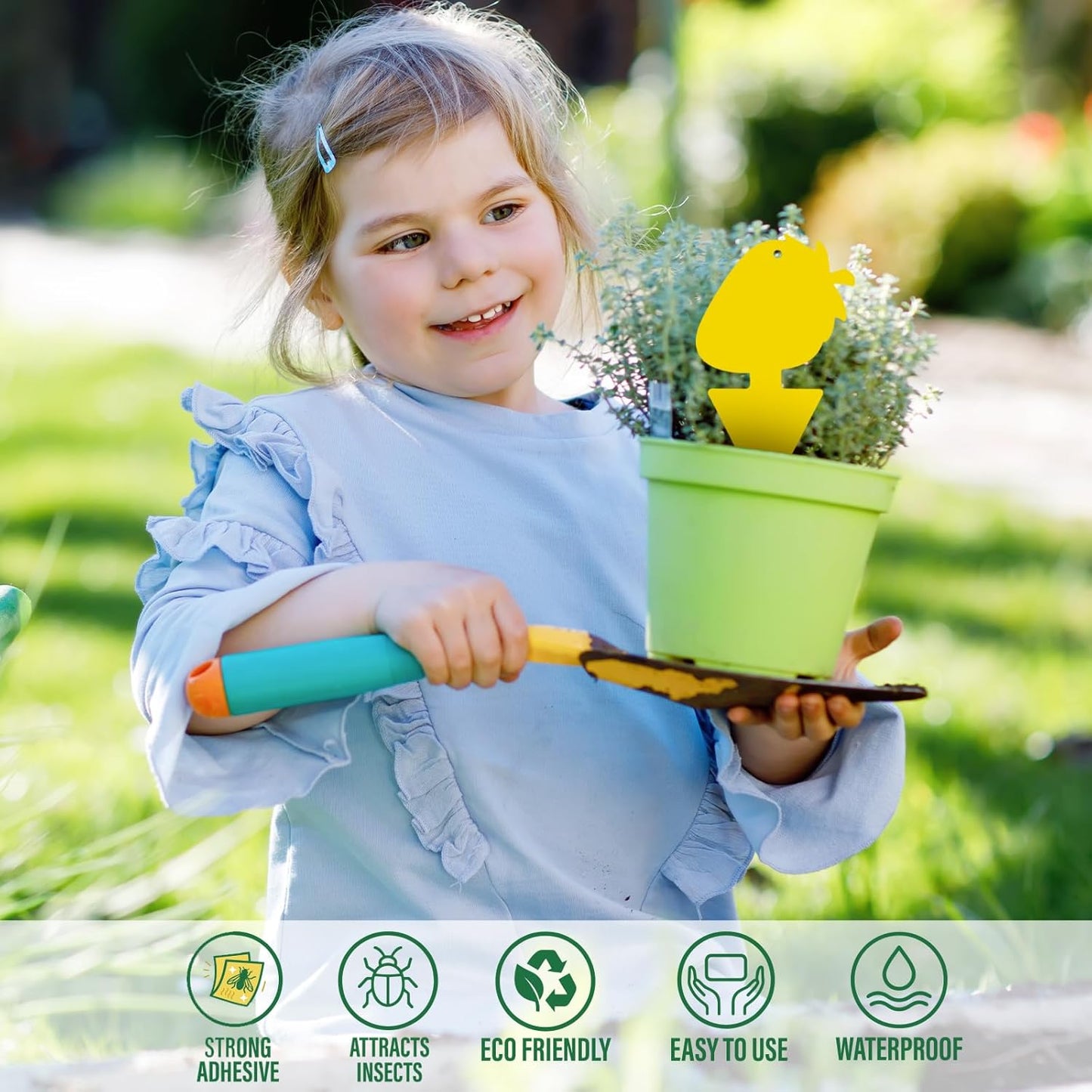 Fruit Fly Trap & Fungus Gnat Traps 40 Pack – Yellow Sticky Gnat Traps 