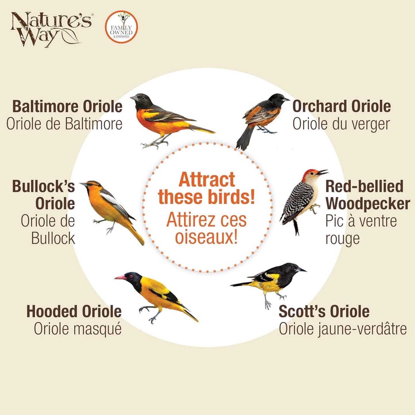 Nature's Way OFP1 All-in-One Oriole Buffet Bird Feeder, Orange
