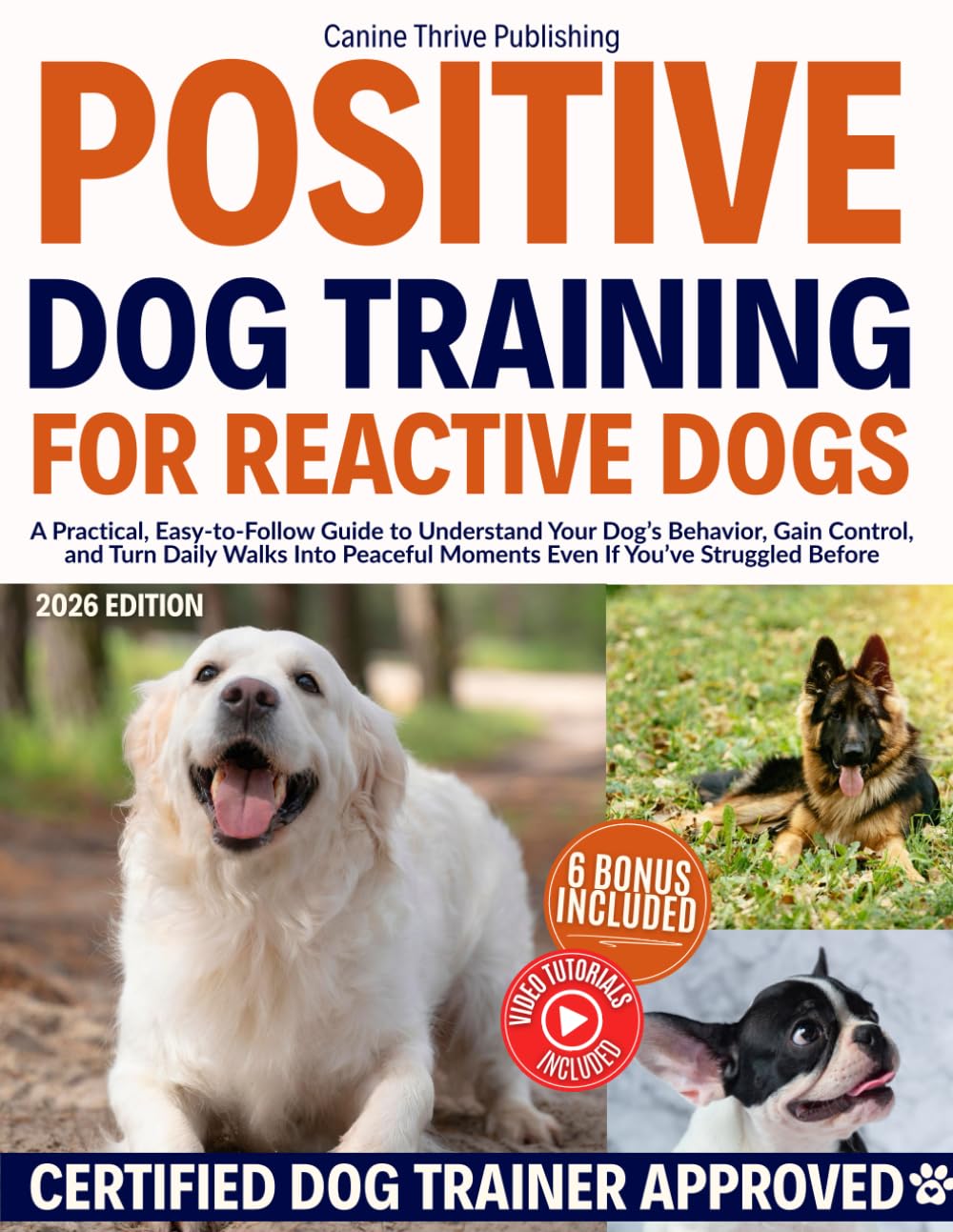 Positive Dog Training for Reactive Dogs: A Practical, Easy-to-Follow G