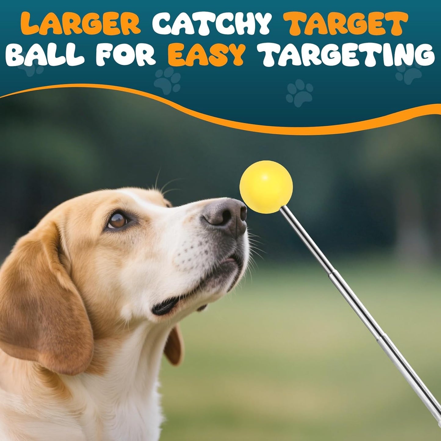 Dog Training Clicker with Target Stick – Portable & Retractable Traine