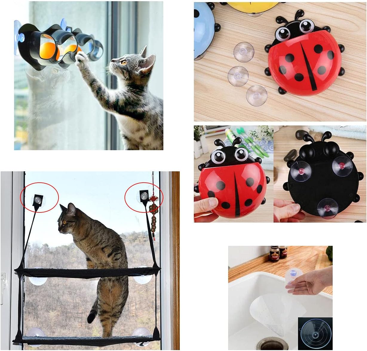 10pcs 60mm Large Suction Cups Use for Veg Ledge Shelf, Wreath, Sign, C