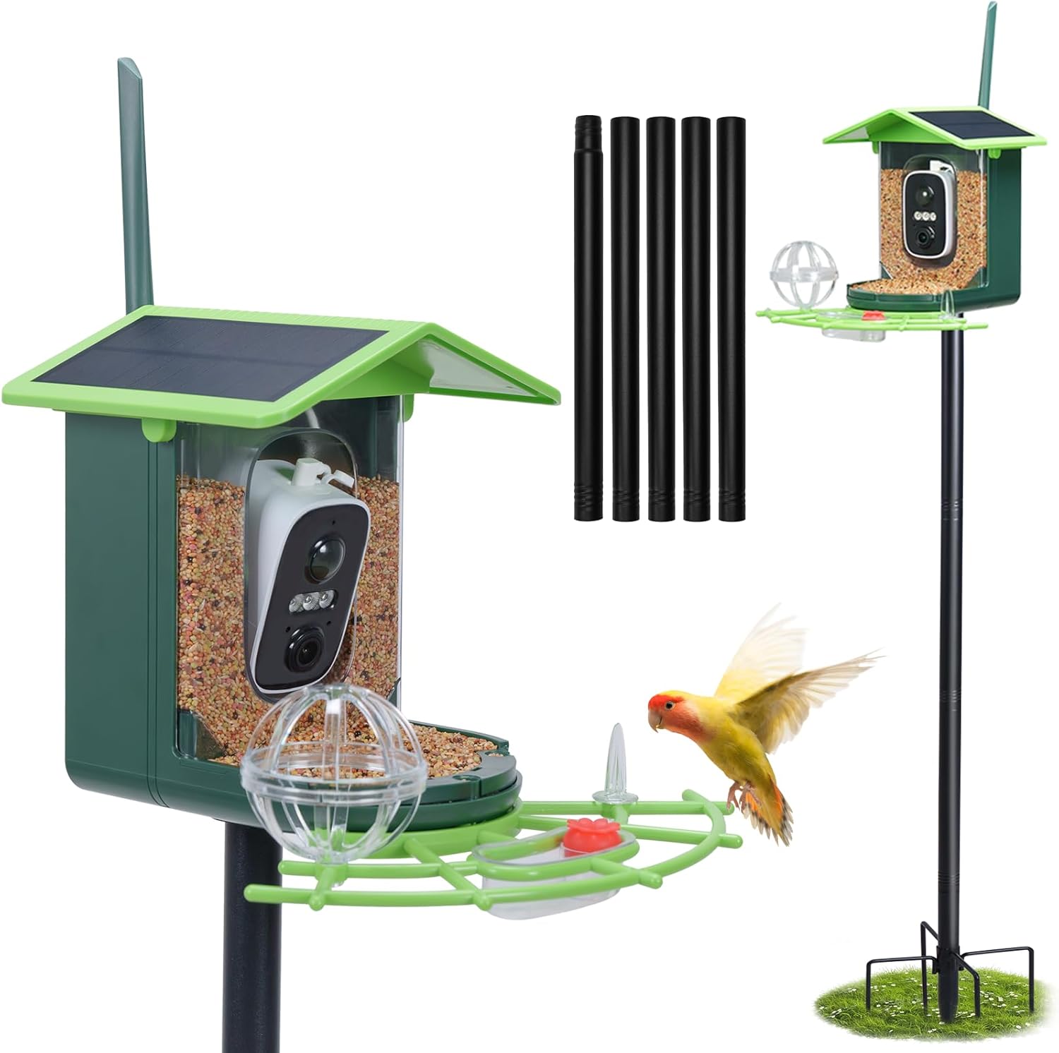 Bird Feeder with Camera and 75 Inch Pole&32GB SD Card, AI Birds Specie