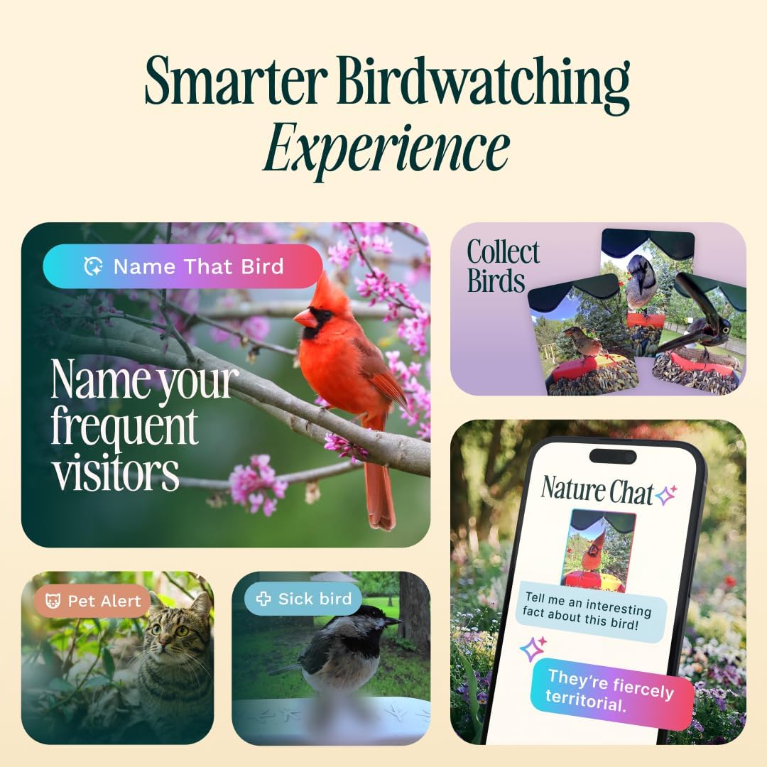 Birdbuddy PRO Non Solar Smart Bird Feeder with Camera - AI Bird Species Identification, 5MP Photos, 2K HD Video Live Stream Camera, Slow-Motion Video, 2.6in Focus - Blue - Non Solar