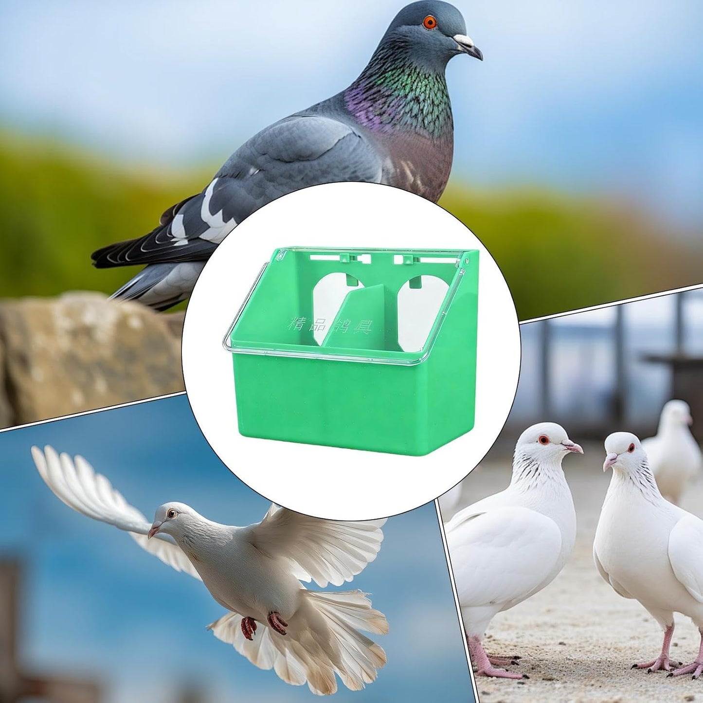 Bird Feeder | Double-Hole Dispenser,Pet Pigeon Food Dispenser Box,for Parakeet Parrot Chicken Quail Poultry Indoor Outdoor Garden Backyard Farm