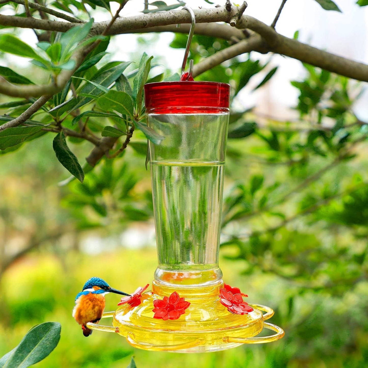 Joliyoou Hummingbird Feeder, 10 Once Glass Hummingbird Feeder Outdoor Hanging, Bird Nectar Feeder