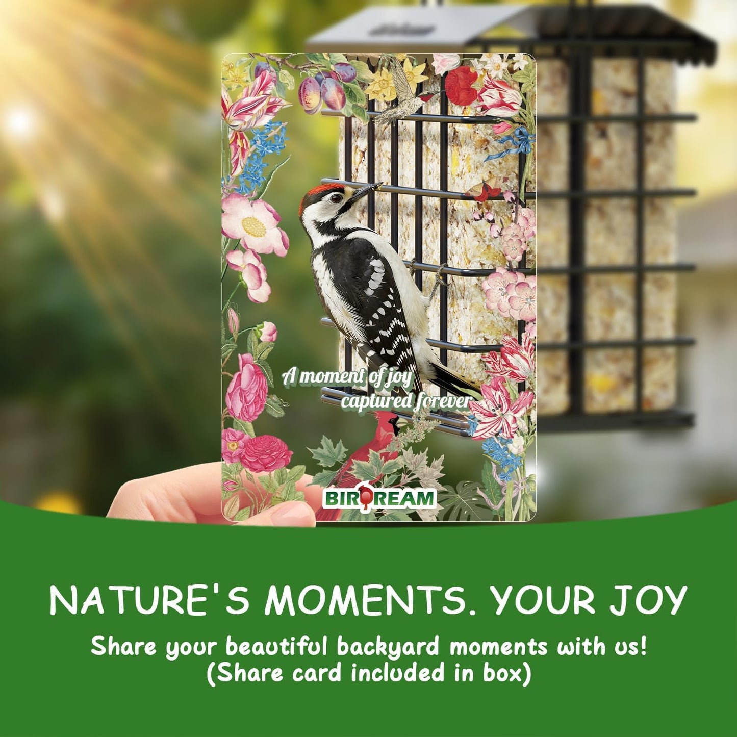 Birdream Double Suet Feeders for Outside Hanging Bird Feeder with Weatherproof Roof Holds 2 Suet Cakes Bird Cage for Outdoors Attract Woodpeckers Goldfinches Chickadees 1-Pack Black
