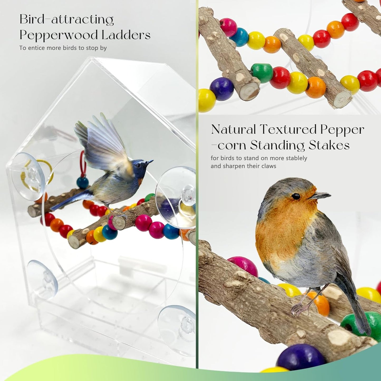 SNAIL GARDEN 9" Large Windows Bird Feeder with Peppered Wood Swing,2PCS Standing Stakes,4PCS Suction Cups,Acrylic Bird Feeder on Window with Removable Seed Tray(9×8.6×3.9in)