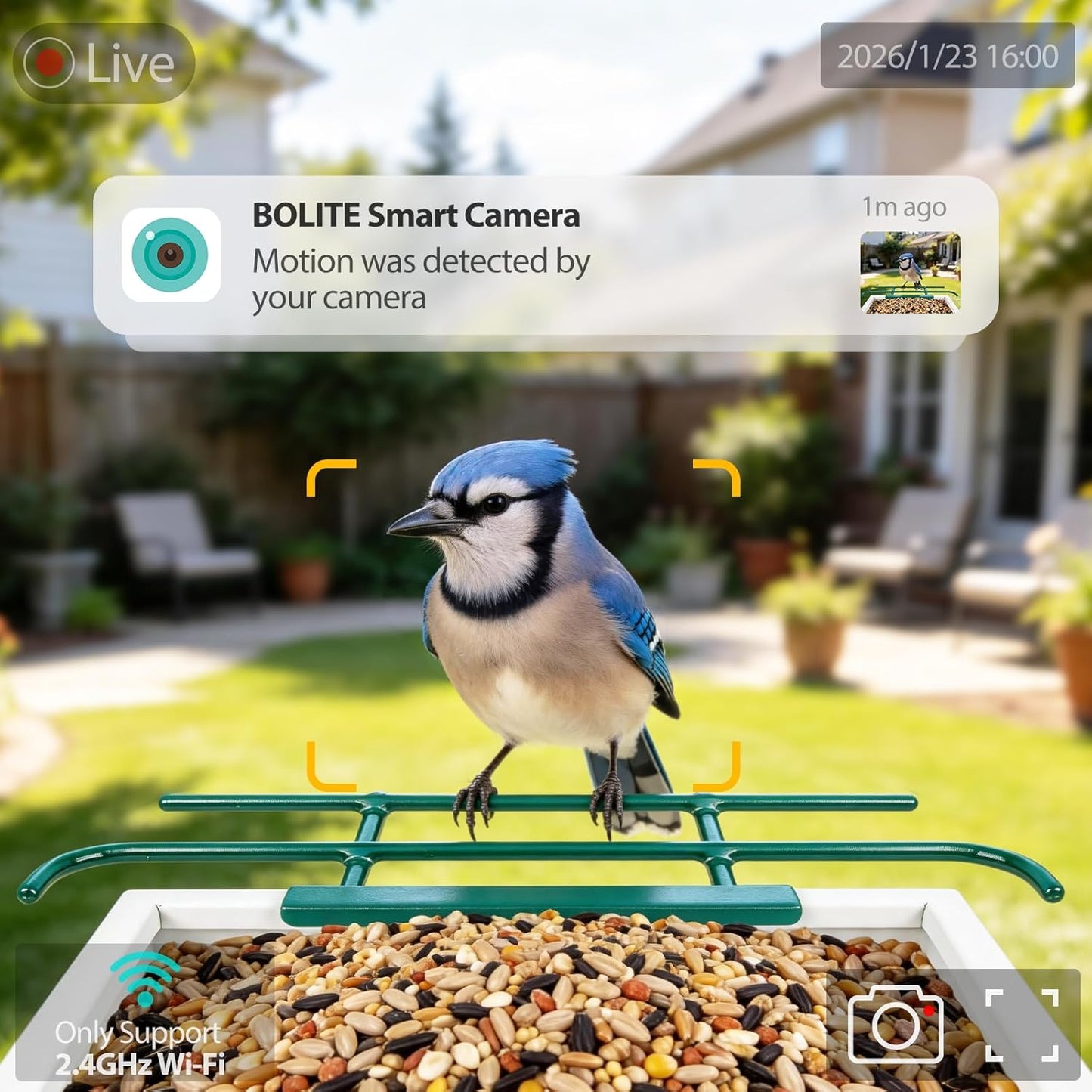 Smart Bird Feeder with Camera 2.5K HD, BOLITE Bird House for Outdoors, AI Auto-Capture & Motion Detection, Weatherproof Camera, Solar Powered, Great for Men Women Mom Dad & Bird Lovers, Green
