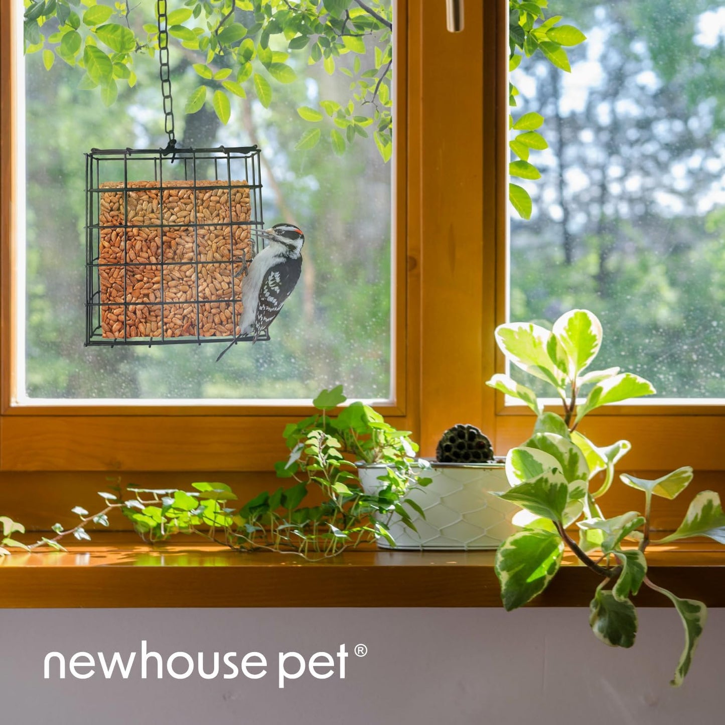 Newhouse Pet Single Cake Suet Basket Bird Feeder NHP-Suet-BLK, Small H