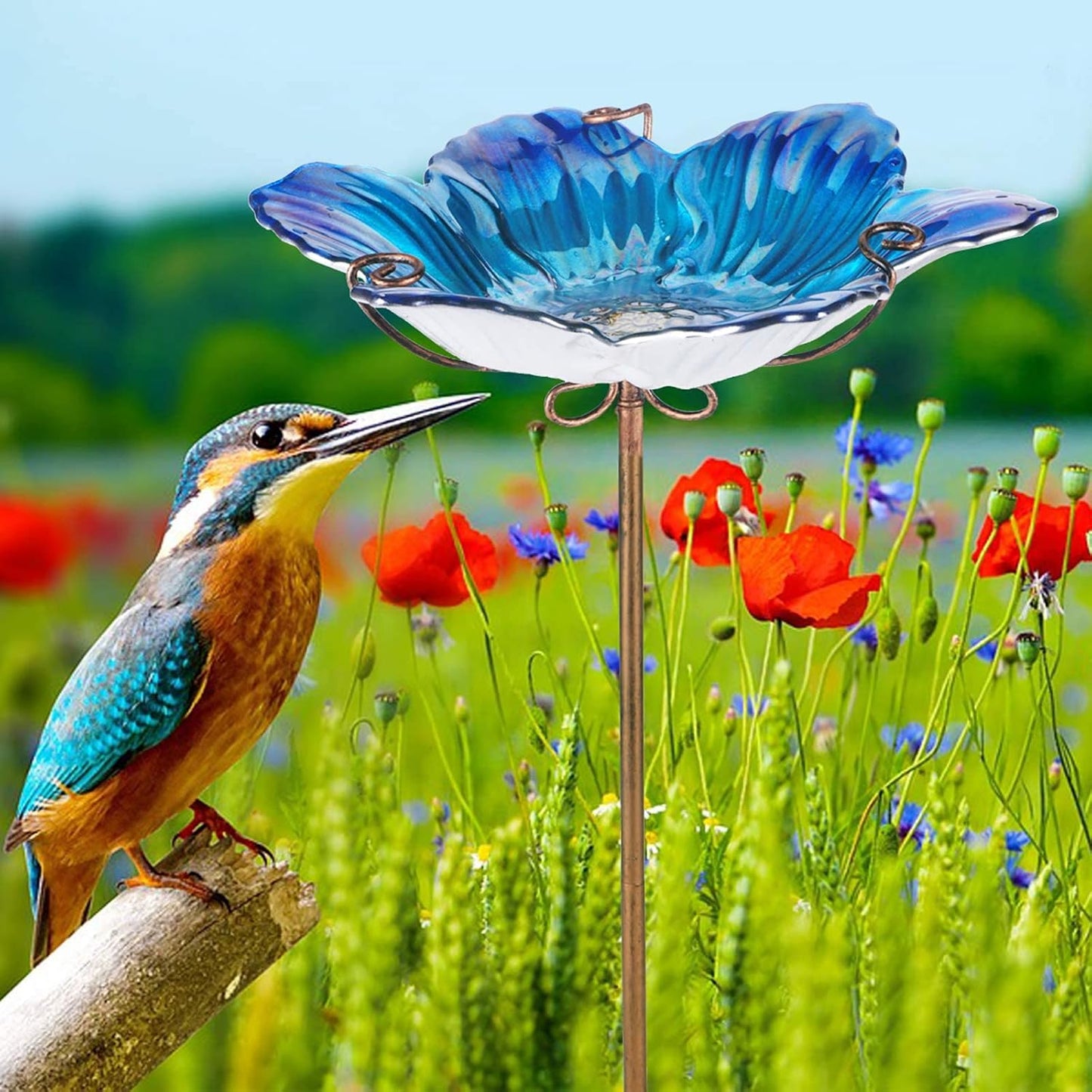 MUMTOP Bird Baths for Outdoors Glass Bird Bath Bowl Outdoor Bird Feede
