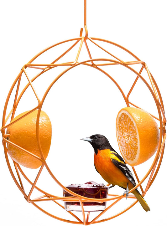 MEKKAPRO Sun Baltimore Oriole Feeder for Outdoors, Jelly and Orange Me